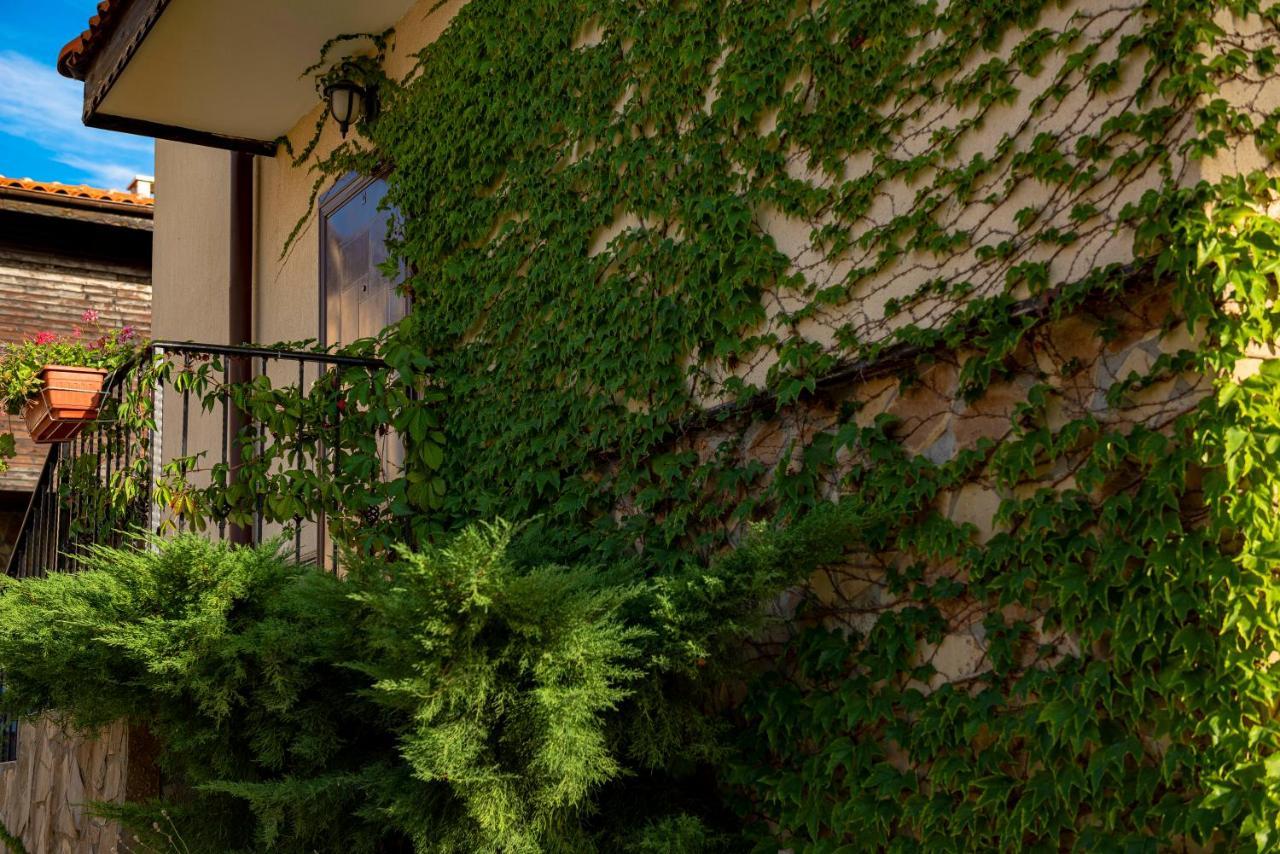 Menada Sunny Hill Villa Kosharitsa Εξωτερικό φωτογραφία
